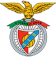 Survetement Benfica