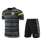 Maillot Dortmund Entrainement Gris Dt03 2022/2023