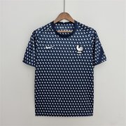 Thailande Maillot Tottenham Hotspur Gris 2022/2023